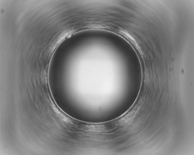 X0000086971433200704231504