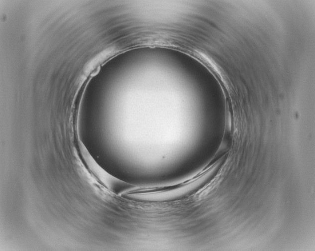 X0000086971434200704231504