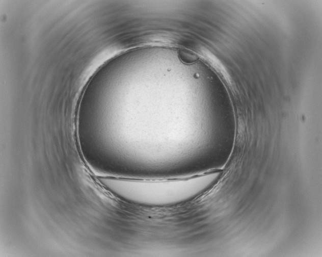 X0000086971435200704231504