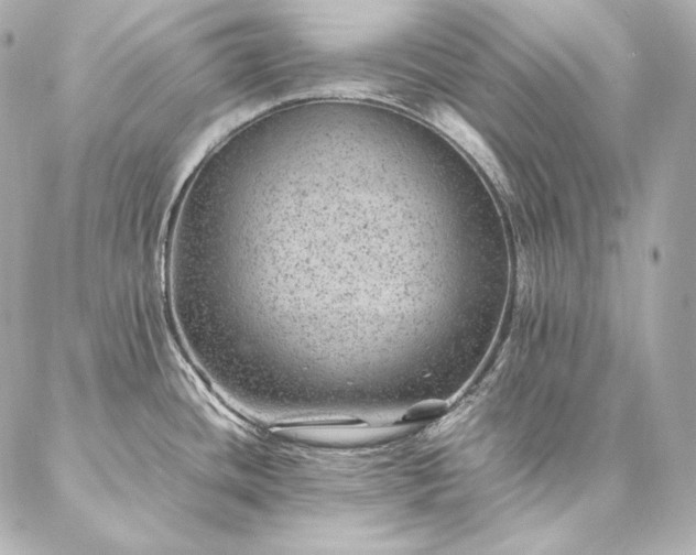 X0000086971436200704231504