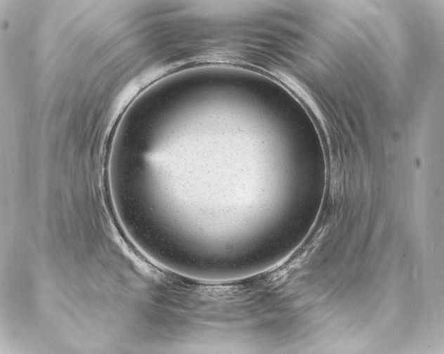 X0000086971437200704231504