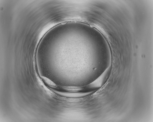 X0000086971440200704231504