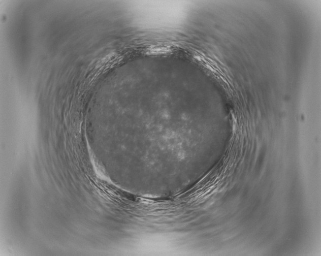 X0000086971441200704231504