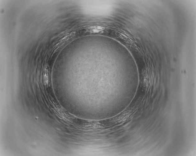 X0000086971442200704231504