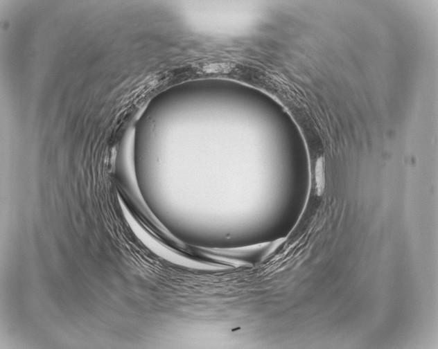 X0000086971443200704231504