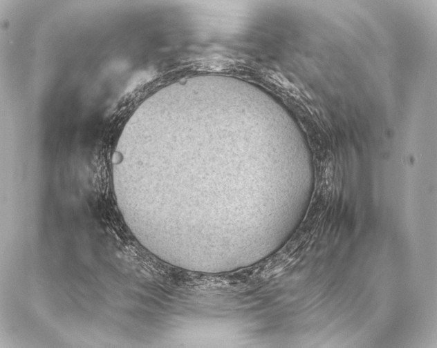 X0000086971446200704231504