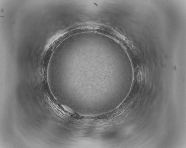 X0000086971448200704231503