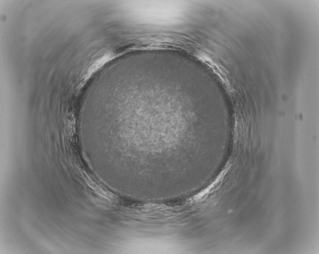 X0000086971449200704231503