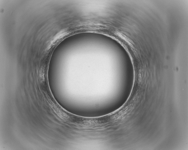 X0000086971451200704231503