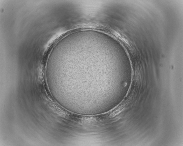 X0000086971454200704231503