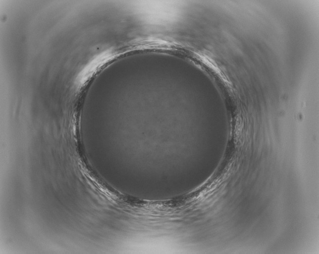 X0000086971455200704231503