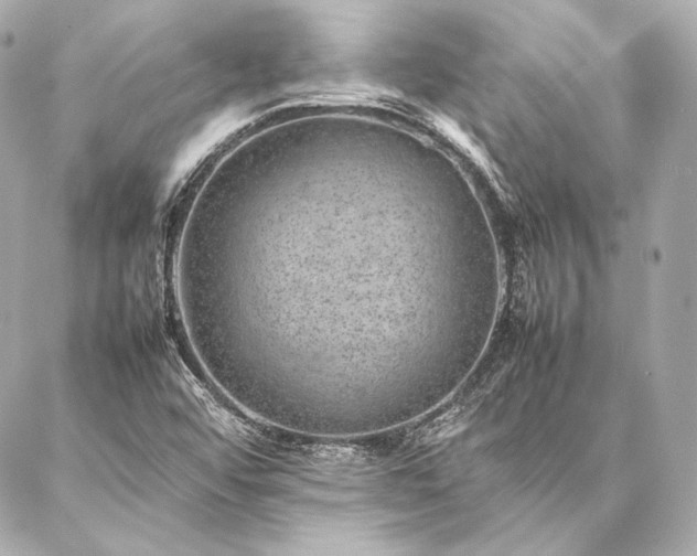 X0000086971456200704231503