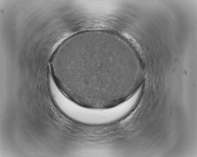 X0000086971457200704231503