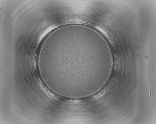 X0000086971458200704231503