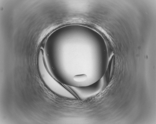 X0000086971461200704231503