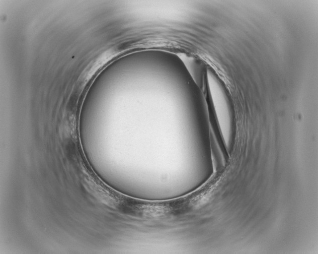 X0000086971465200704231503