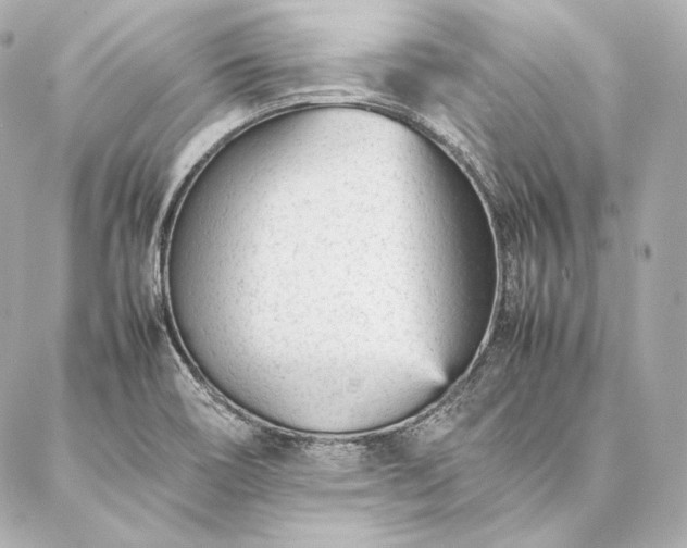 X0000086971466200704231503