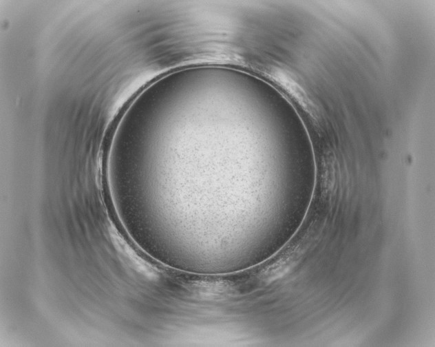 X0000086971468200704231503