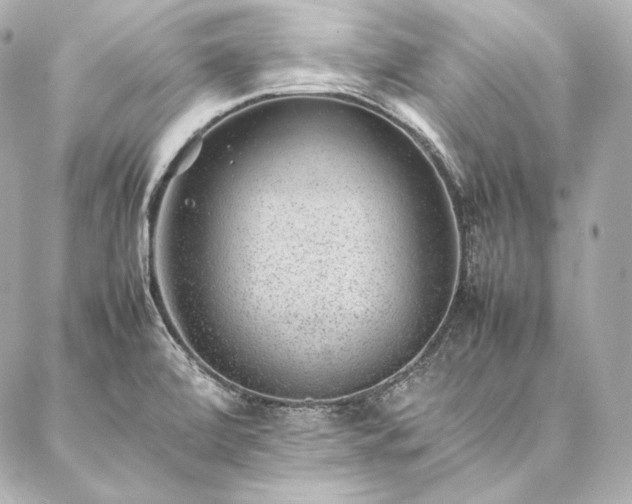 X0000086971472200704231503