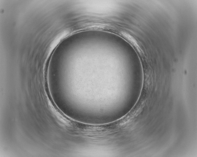 X0000086971475200704231503