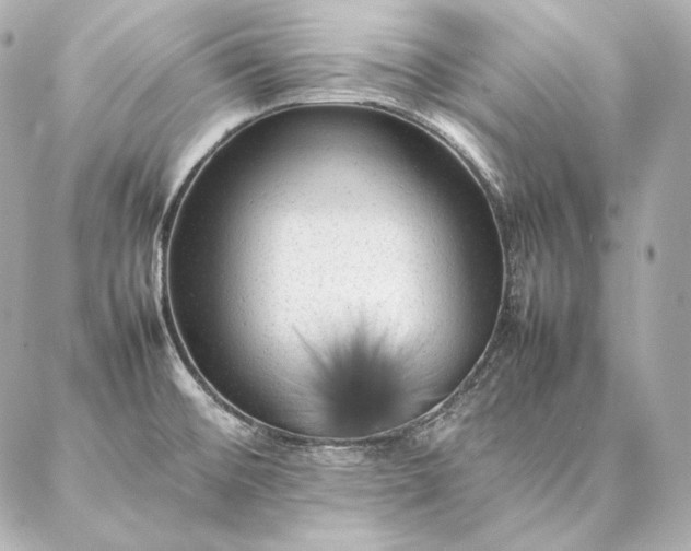X0000086971476200704231503