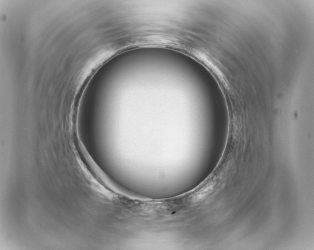 X0000086971477200704231503