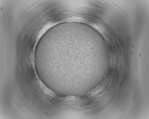 X0000086971478200704231503