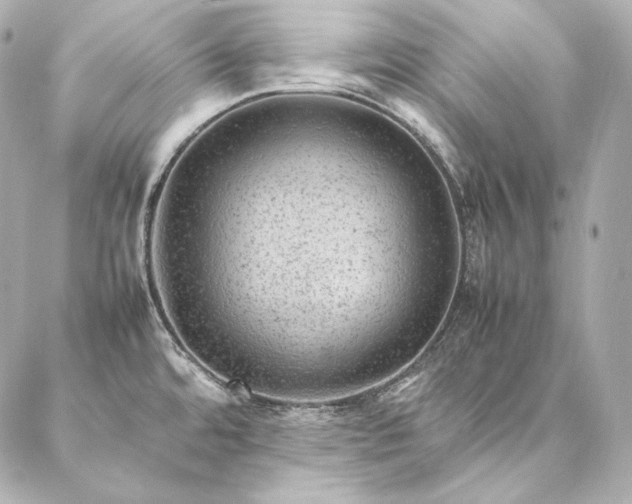 X0000086971480200704231503