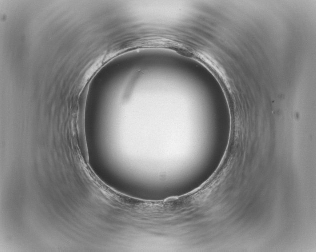 X0000086971481200704231503