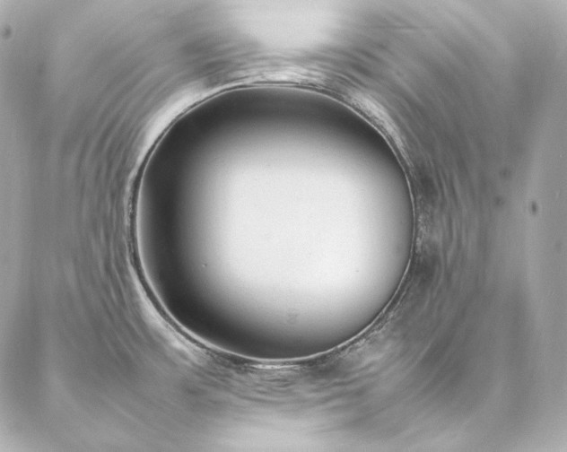 X0000086971483200704231503