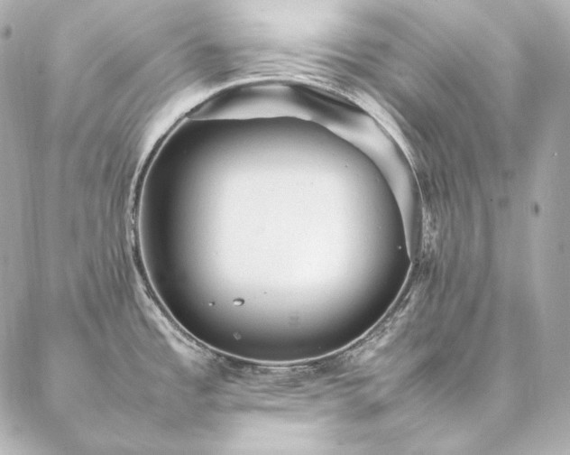 X0000086971485200704231503