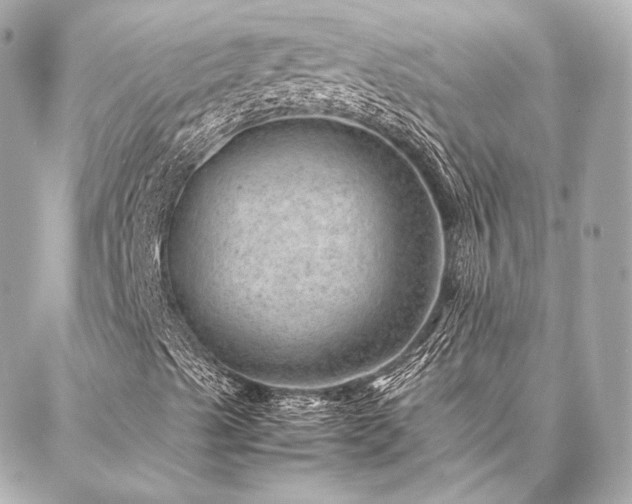 X0000086971489200704231502