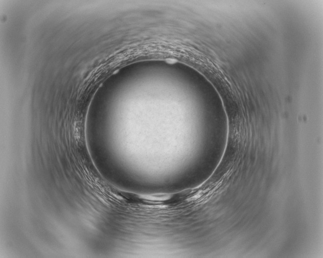 X0000086971490200704231502