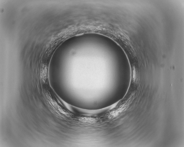 X0000086971492200704231502