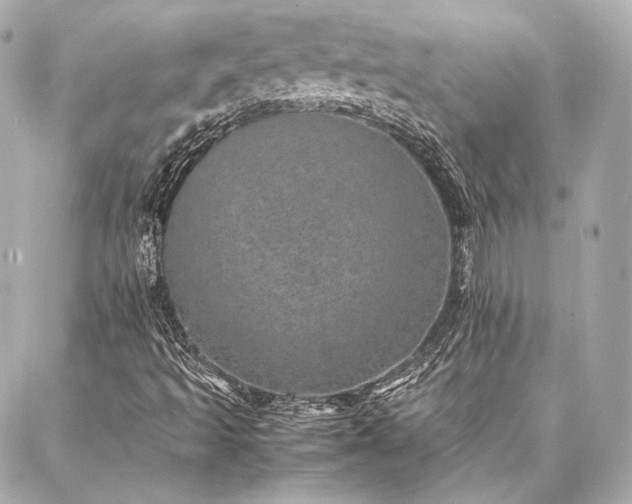 X0000086971493200704231502