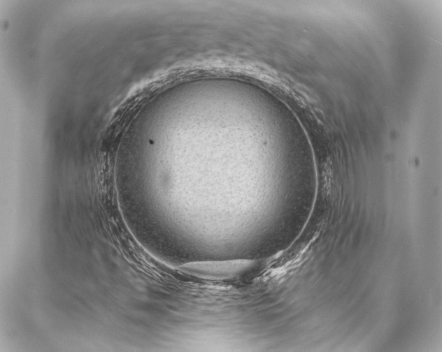 X0000086971494200704231502