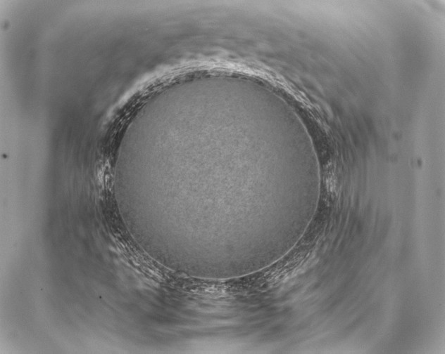 X0000086971495200704231502