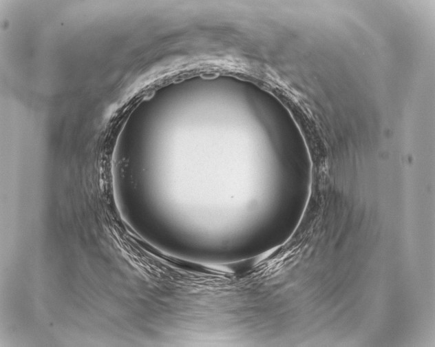 X0000086971496200704231502