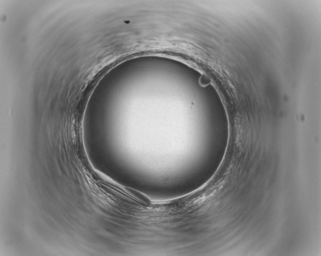 X0000086971497200704231502