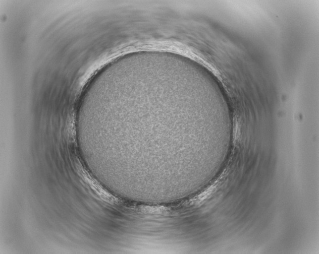 X0000086971498200704231502