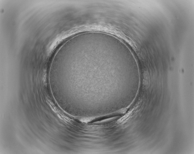 X0000086971499200704231502