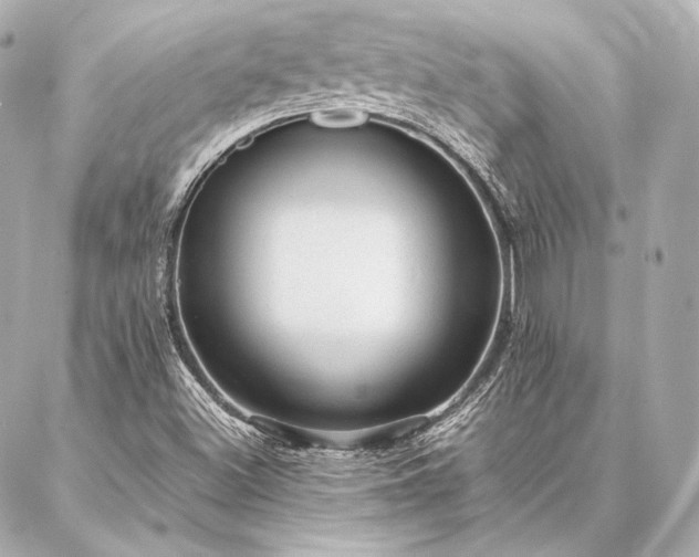 X0000086971500200704231502