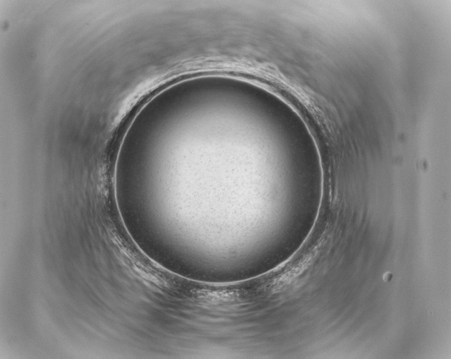 X0000086971501200704231502