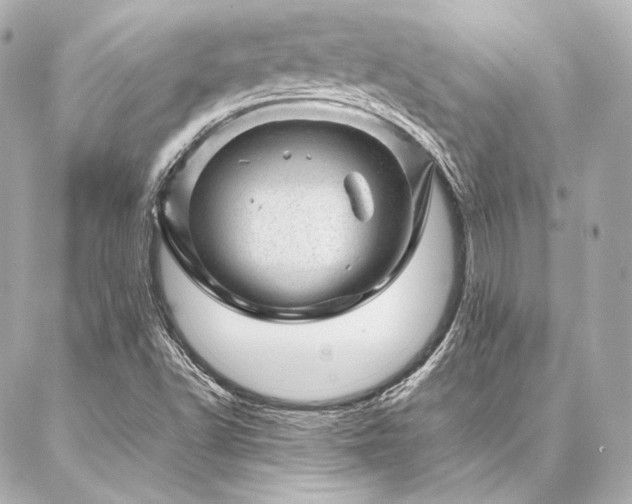 X0000086971502200704231502