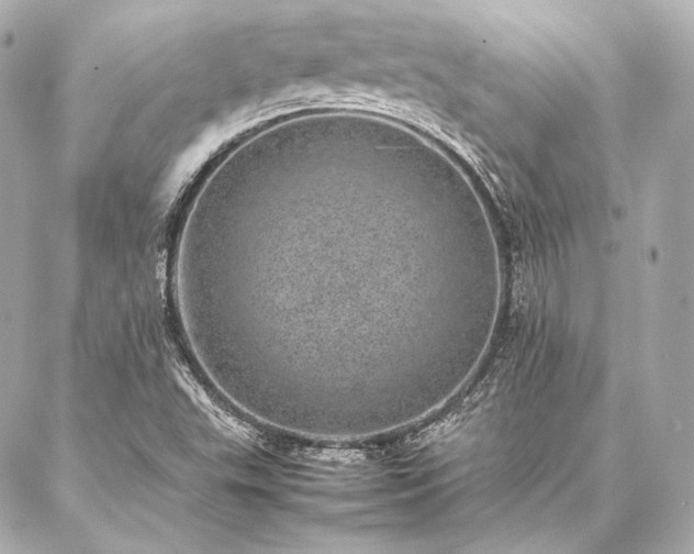 X0000086971503200704231502