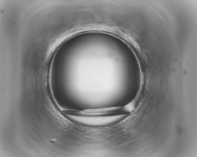 X0000086971504200704231502