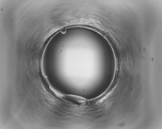 X0000086971505200704231502