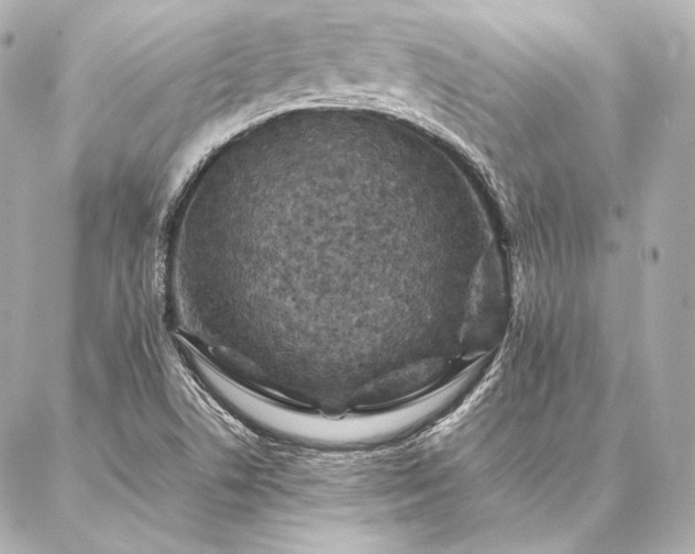 X0000086971506200704231502