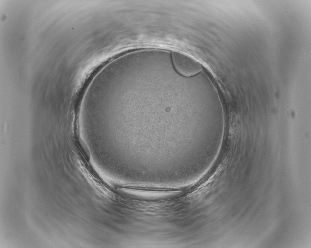 X0000086971507200704231502