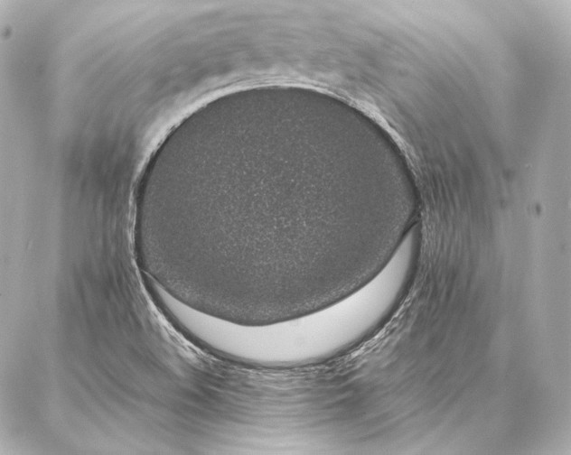 X0000086971508200704231502